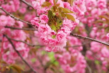 湖州安吉2线下个人借款平台一站式服务，轻松解决资金难题