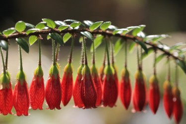 湖州安吉2零用贷短借：轻松解决临时资金需求