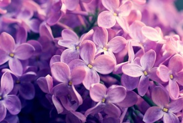 湖州安吉2企业急用钱贷款攻略：快速融资解燃眉之急